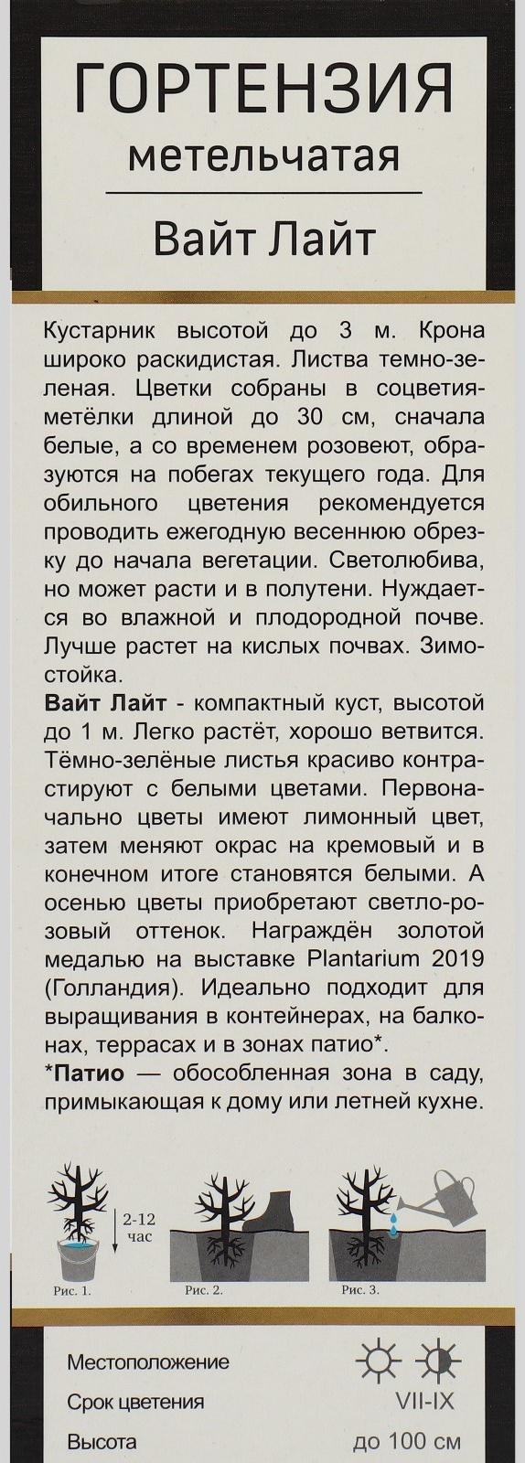 Гортензия метельчатая Патио Люкс 