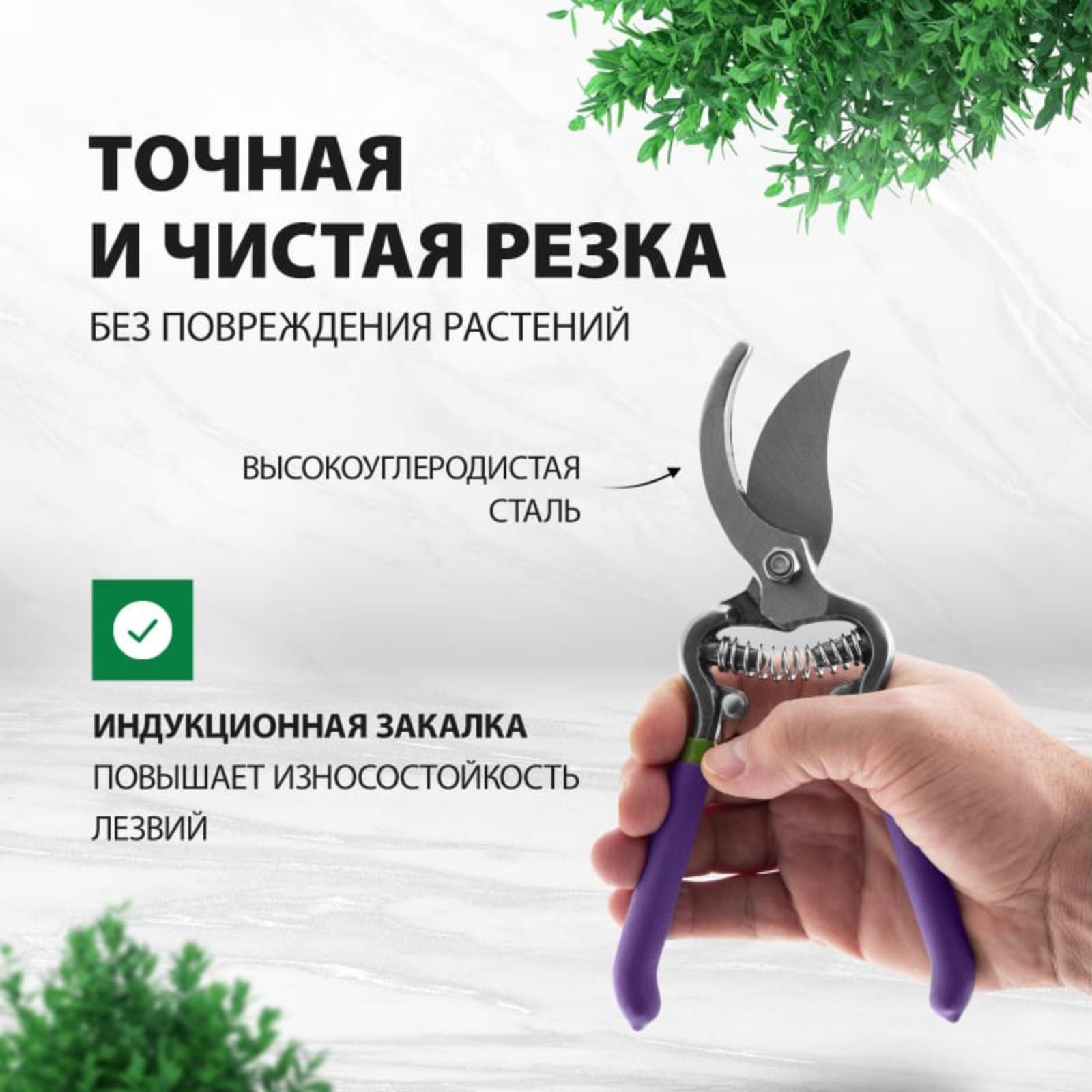 Секатор плоскостной, 8