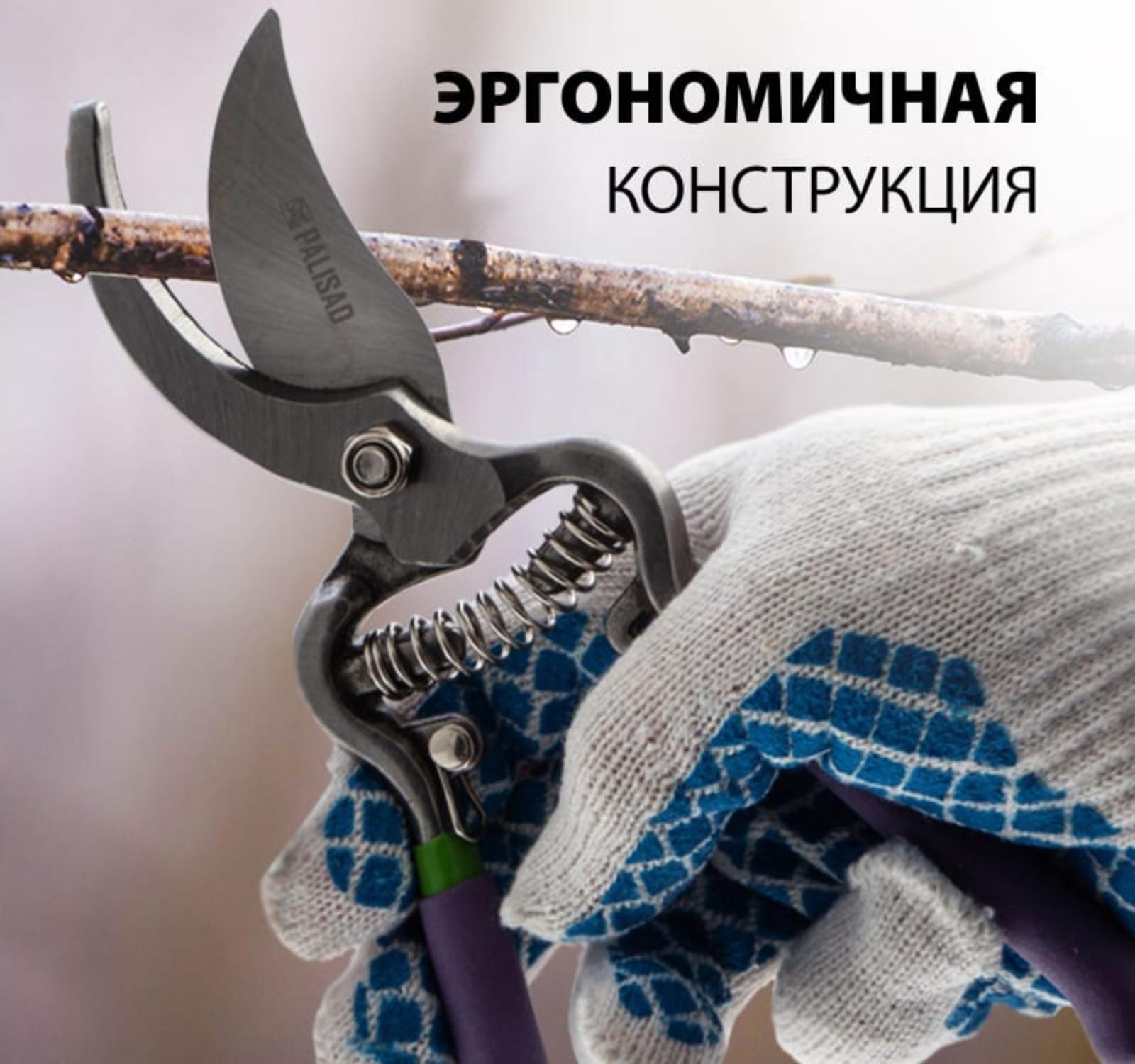 Секатор плоскостной, 8