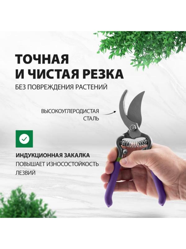 Секатор плоскостной, 8