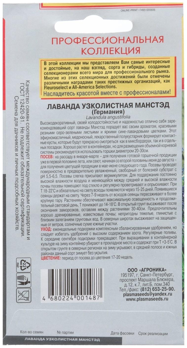 Лаванда узколистная Манстэд (Отлично зарекомендовавший себя среди профессионалов холодостойк
