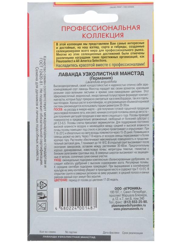 Лаванда узколистная Манстэд (Отлично зарекомендовавший себя среди профессионалов холодостойк