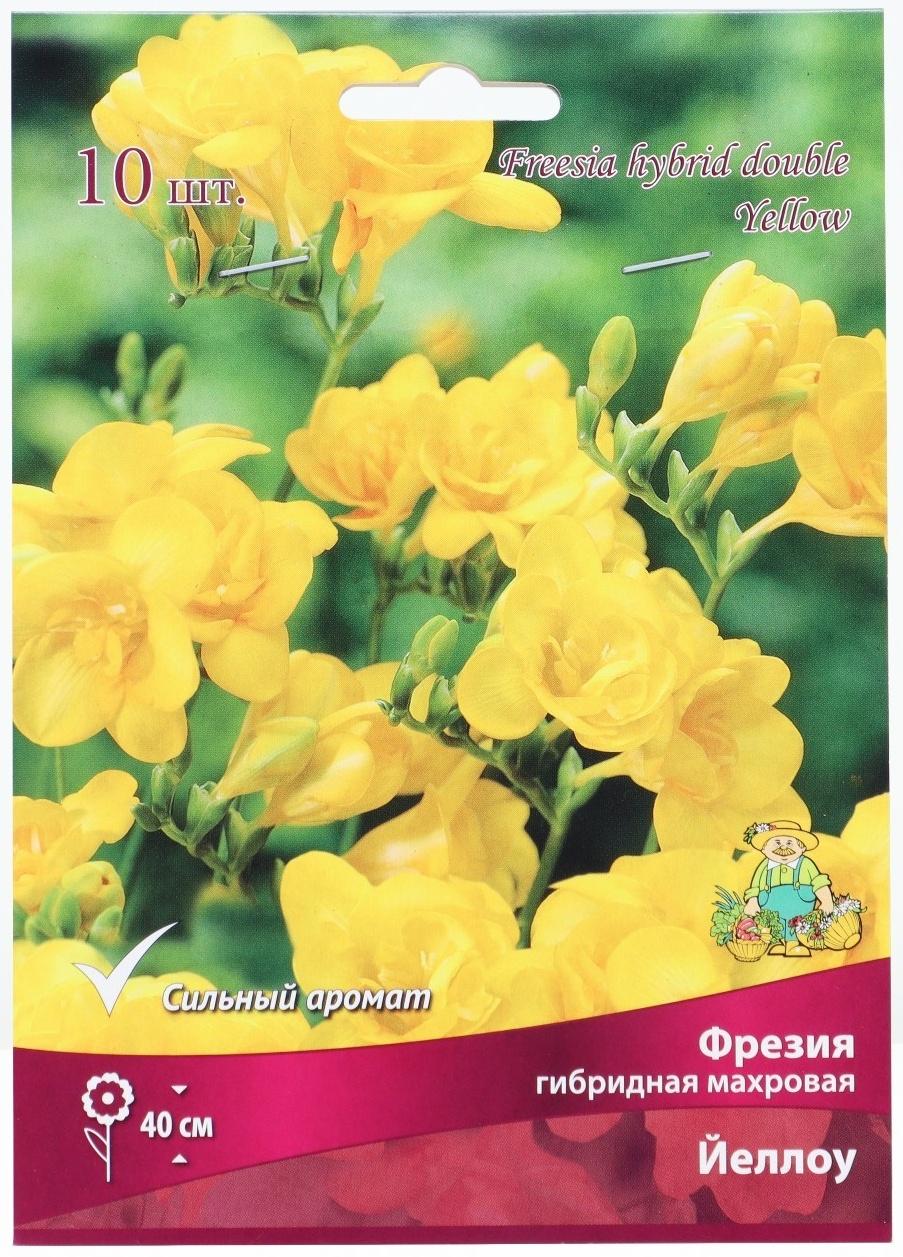 Фрезия гибридная махровая Йеллоу, р-р 5/6, 10 шт, Весна 2024