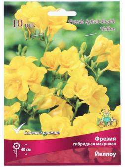 Фрезия гибридная махровая Йеллоу, р-р 5/6, 10 шт, Весна 2024