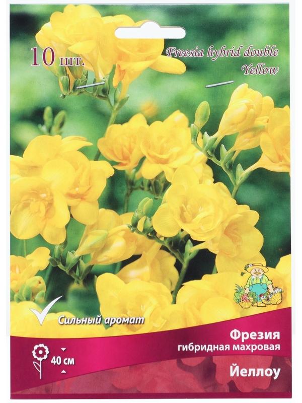 Фрезия гибридная махровая Йеллоу, р-р 5/6, 10 шт, Весна 2024