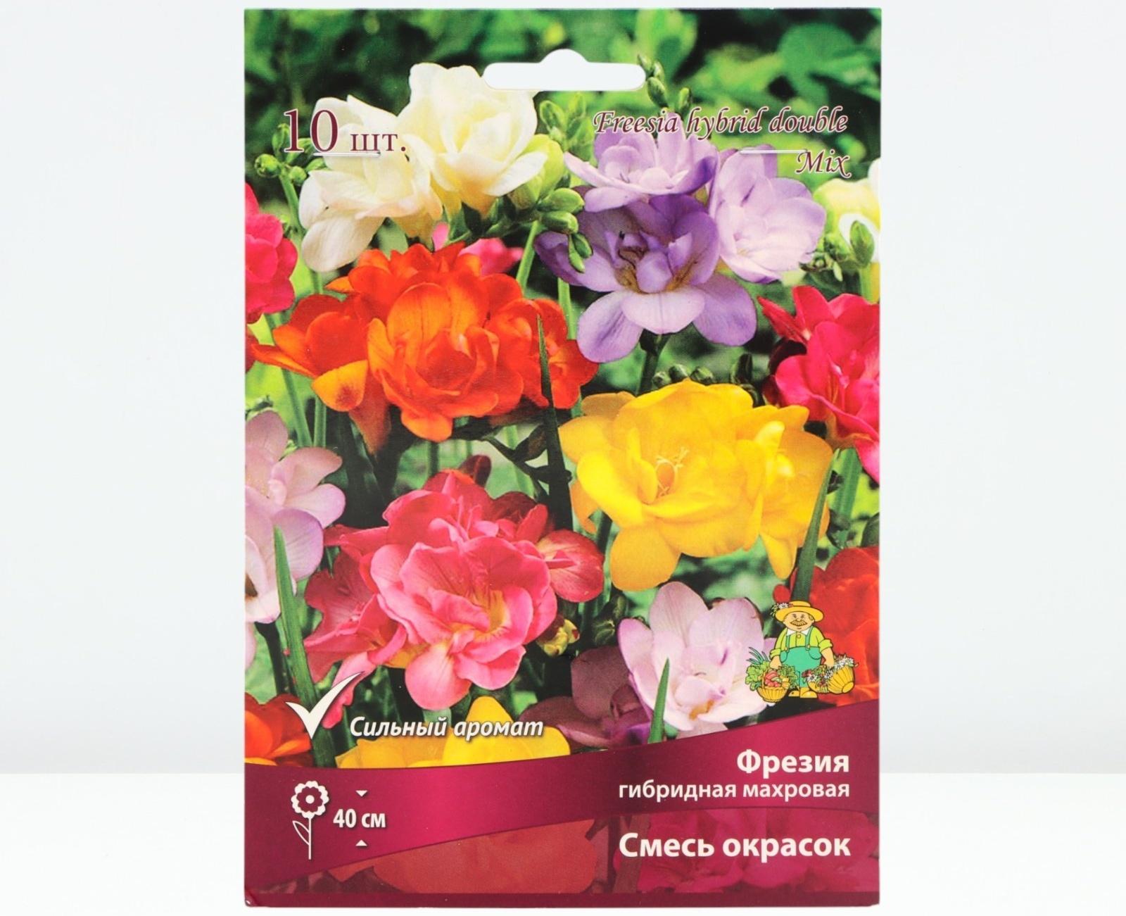 Фрезия гибридная махровая Смесь окрасок, р-р 5/6, 10 шт, Весна 2024