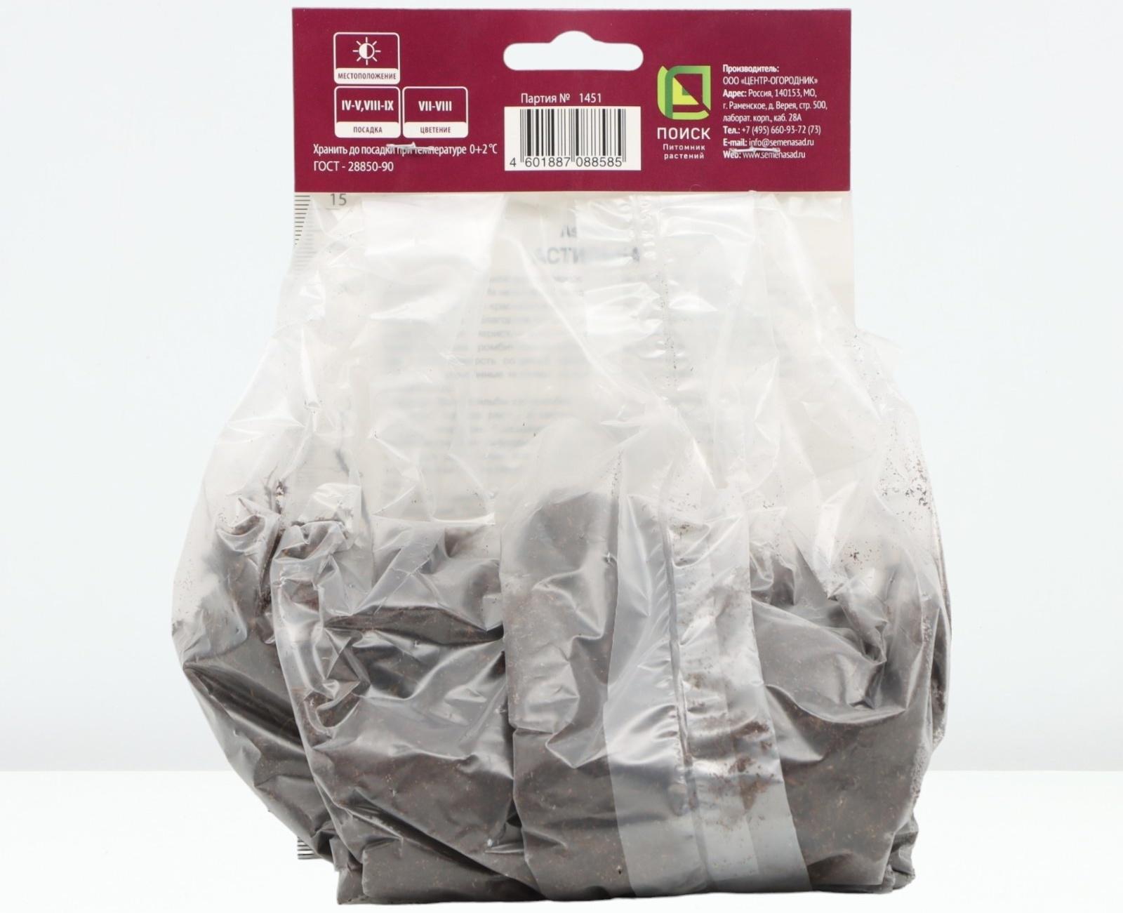 Астильба курчавая Лилипут, р-р I, 1 шт, Весна 2024