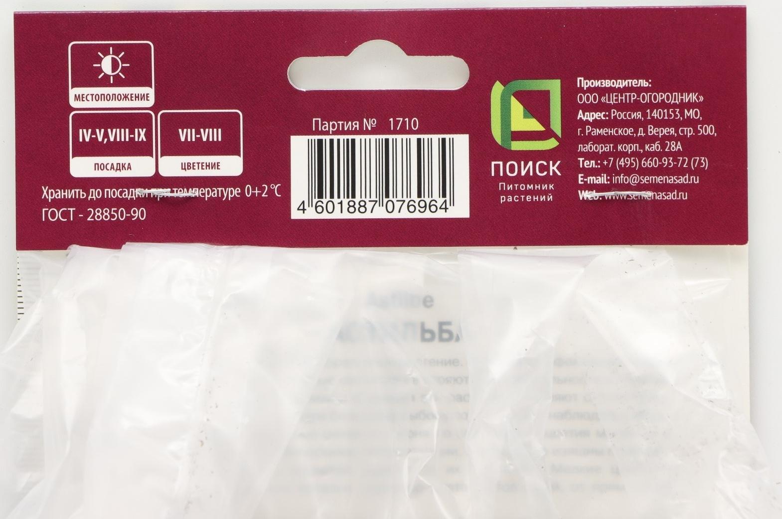 Астильба курчавая Перкео, р-р I, 1 шт, Весна 2024