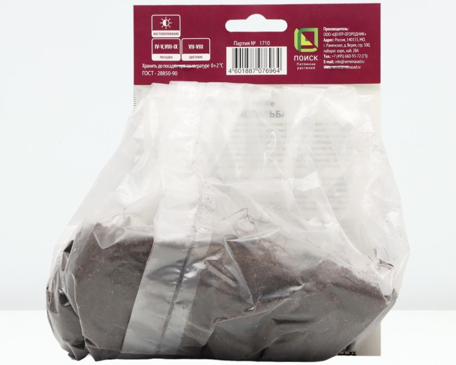 Астильба курчавая Перкео, р-р I, 1 шт, Весна 2024