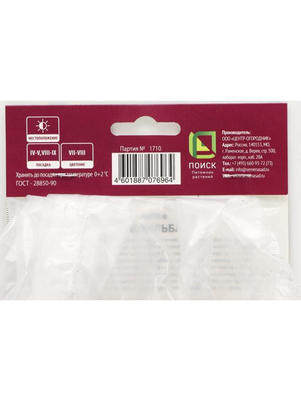 Астильба курчавая Перкео, р-р I, 1 шт, Весна 2024