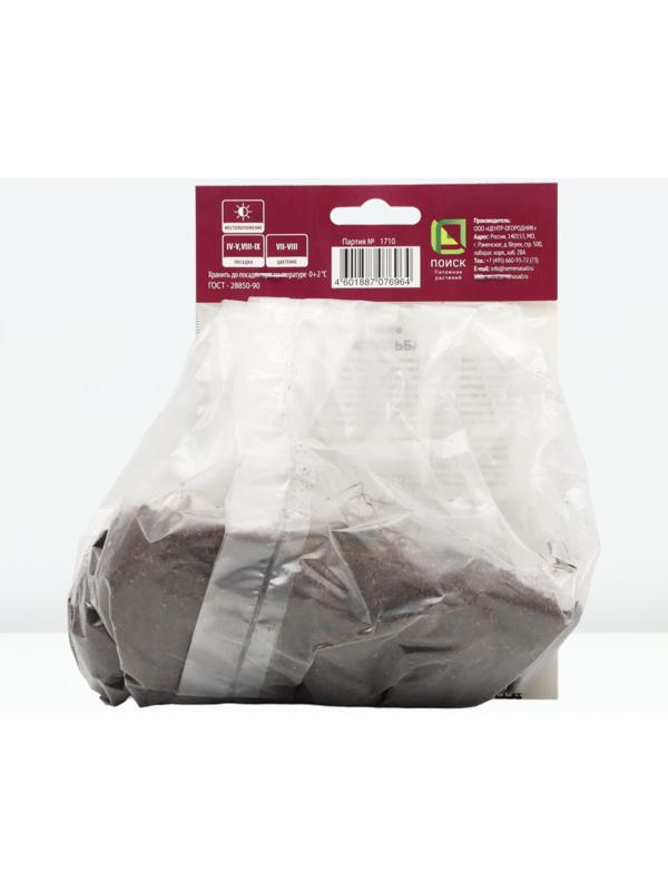 Астильба курчавая Перкео, р-р I, 1 шт, Весна 2024