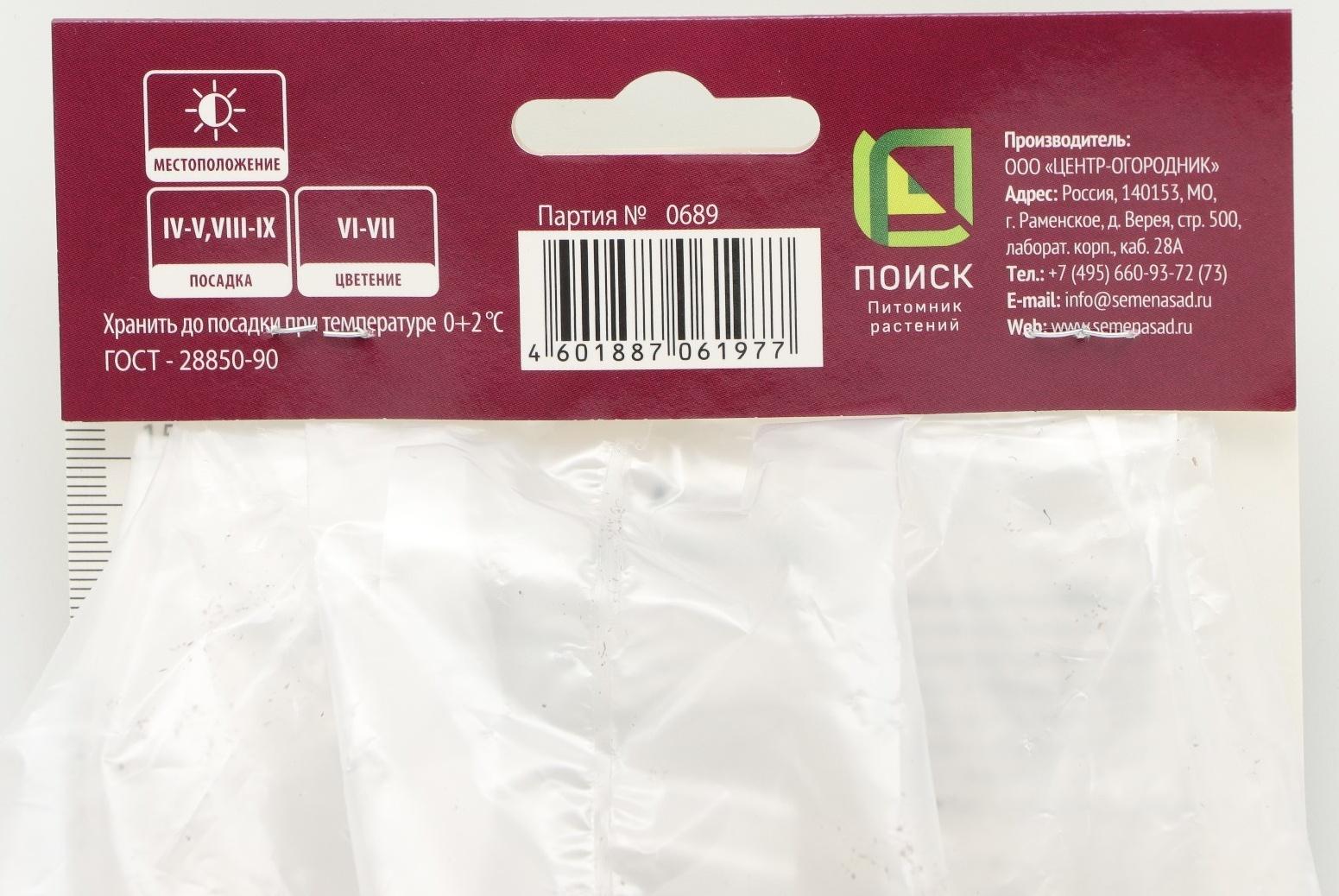 Астильба японская Аваланш, р-р I, 1 шт, Весна 2024