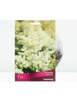 Астильба японская Аваланш, р-р I, 1 шт, Весна 2024