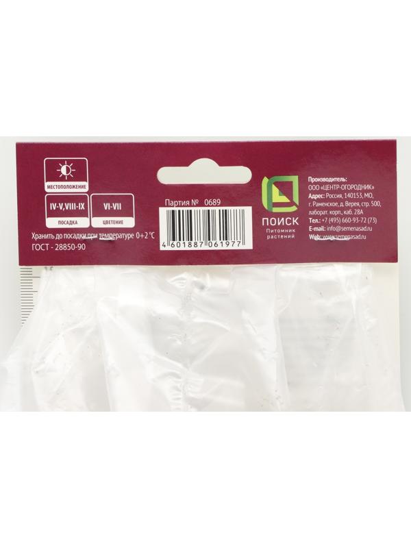 Астильба японская Аваланш, р-р I, 1 шт, Весна 2024