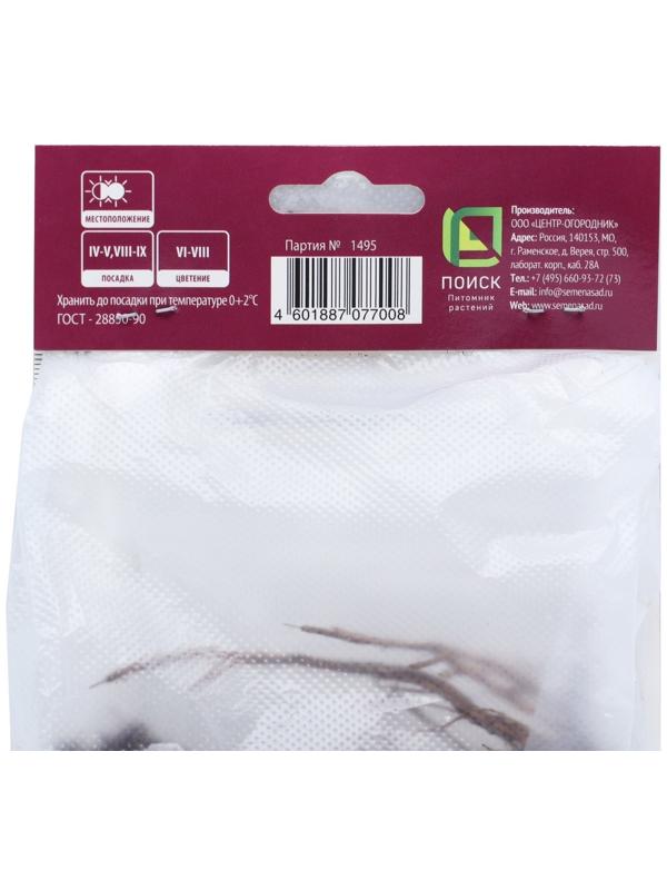 Герань кроваво-красная Макс Фрэй, р-р I, 1 шт, Весна 2024