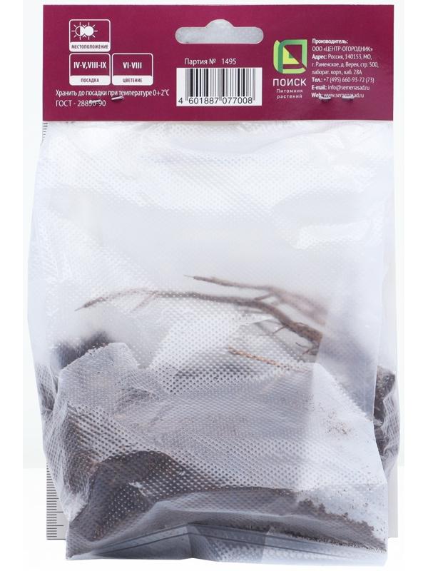 Герань кроваво-красная Макс Фрэй, р-р I, 1 шт, Весна 2024