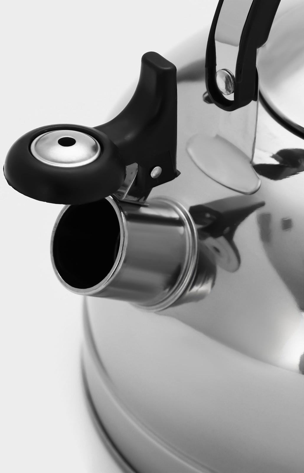 Чайник из нержавеющей стали со свистком «Семейный», 2,8 л