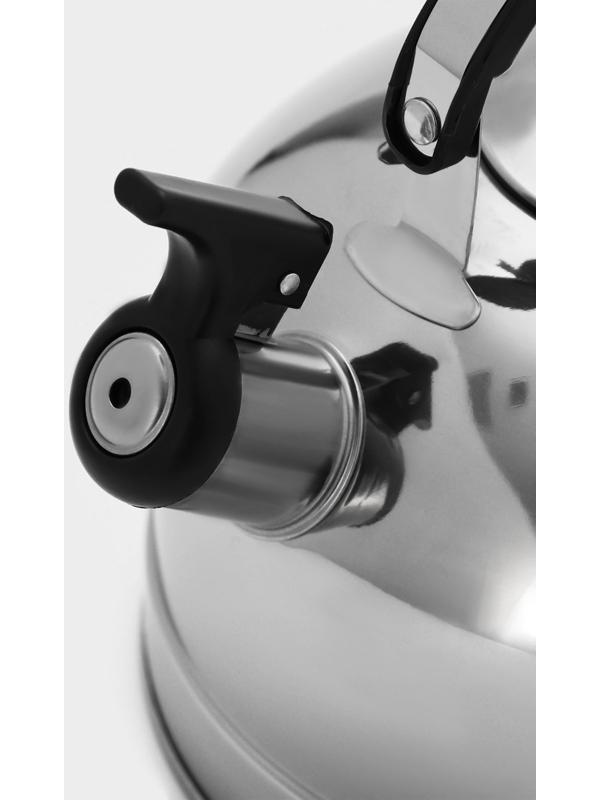 Чайник из нержавеющей стали со свистком «Семейный», 2,8 л