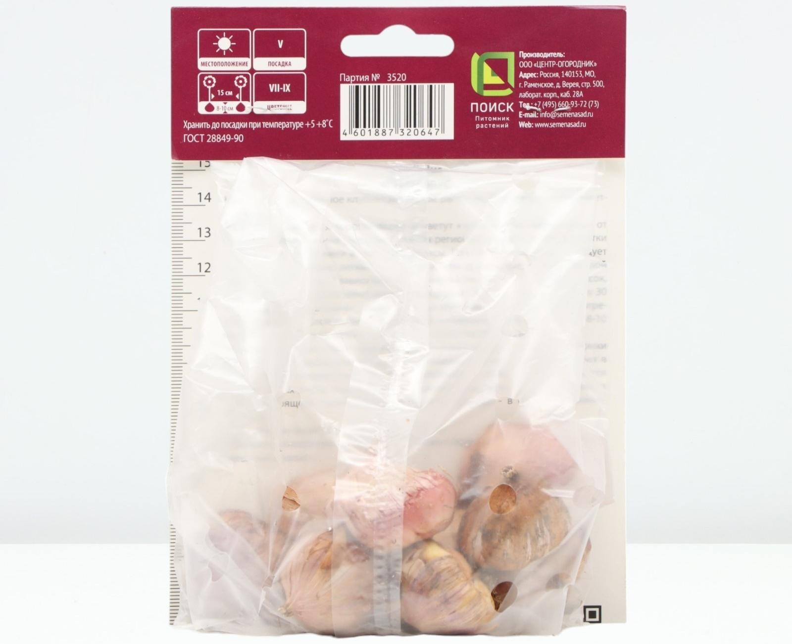 Гладиолус крупноцветковый 