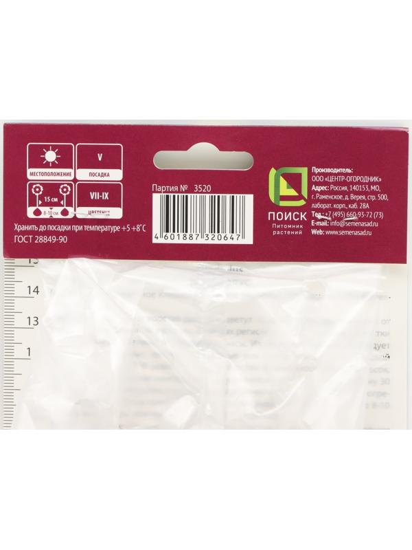 Гладиолус крупноцветковый 