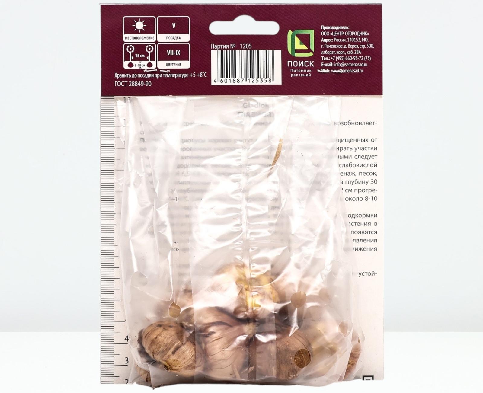 Гладиолус крупноцветковый 