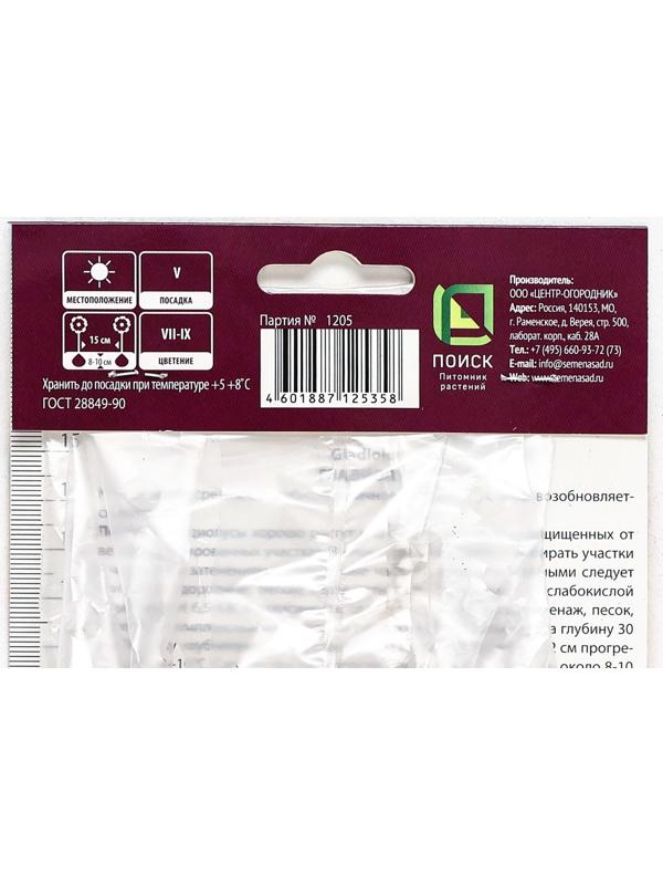 Гладиолус крупноцветковый 