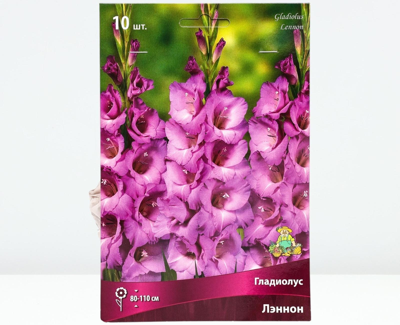 Гладиолус крупноцветковый 