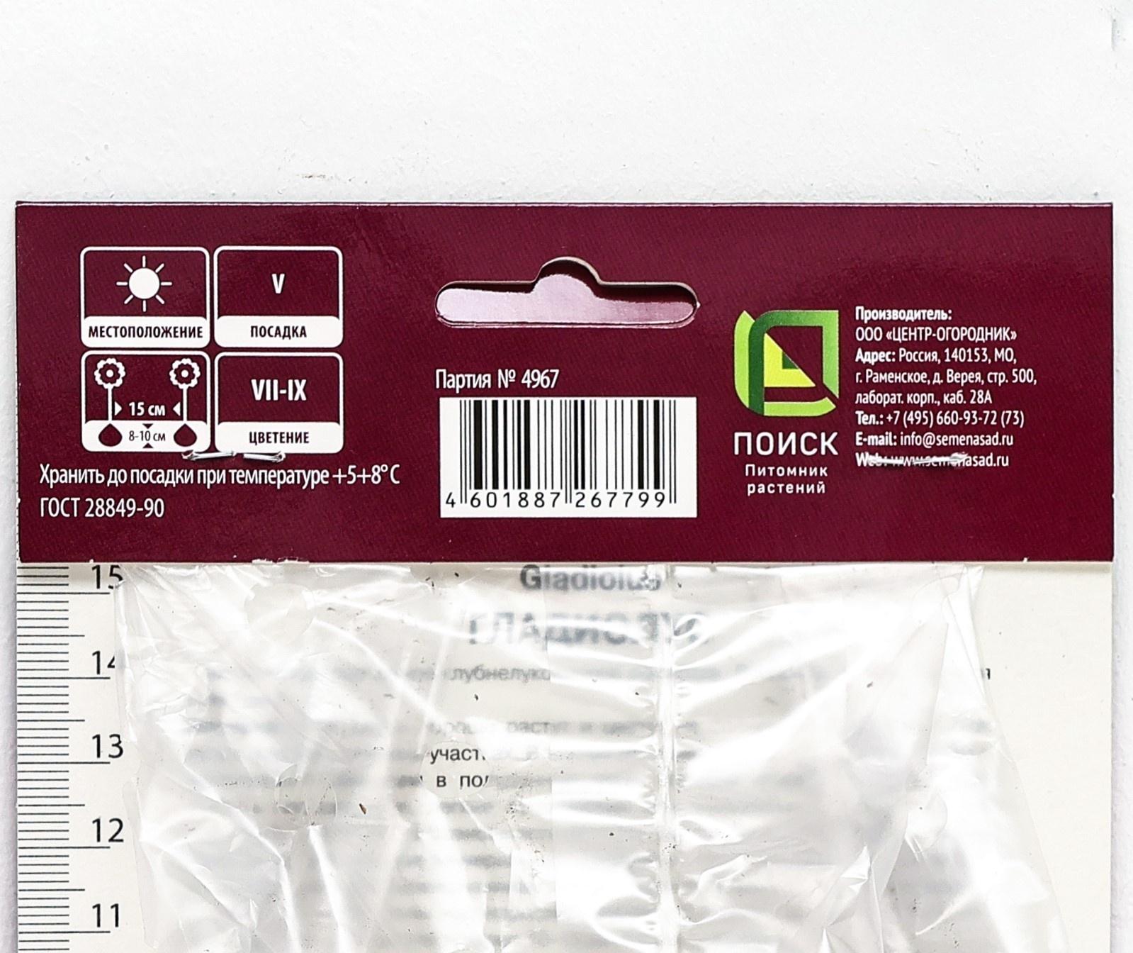 Гладиолус крупноцветковый 