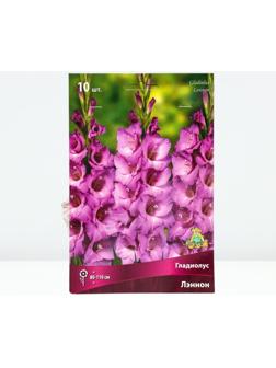 Гладиолус крупноцветковый 