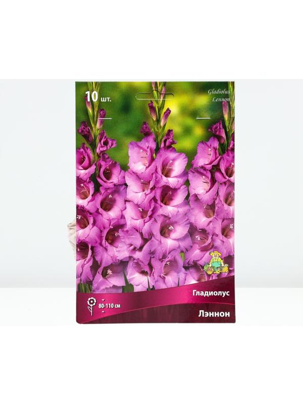 Гладиолус крупноцветковый 