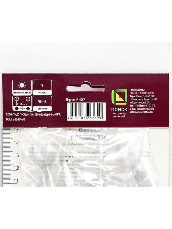 Гладиолус крупноцветковый 