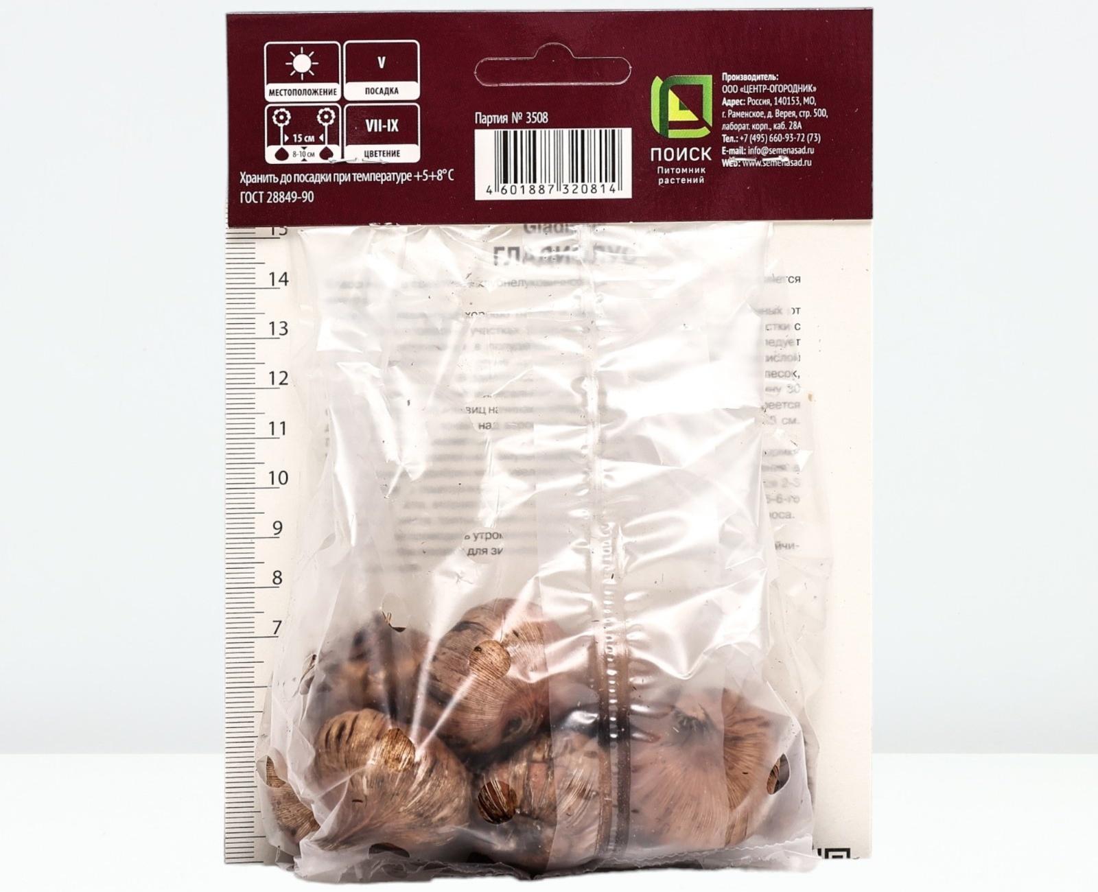 Гладиолус крупноцветковый 