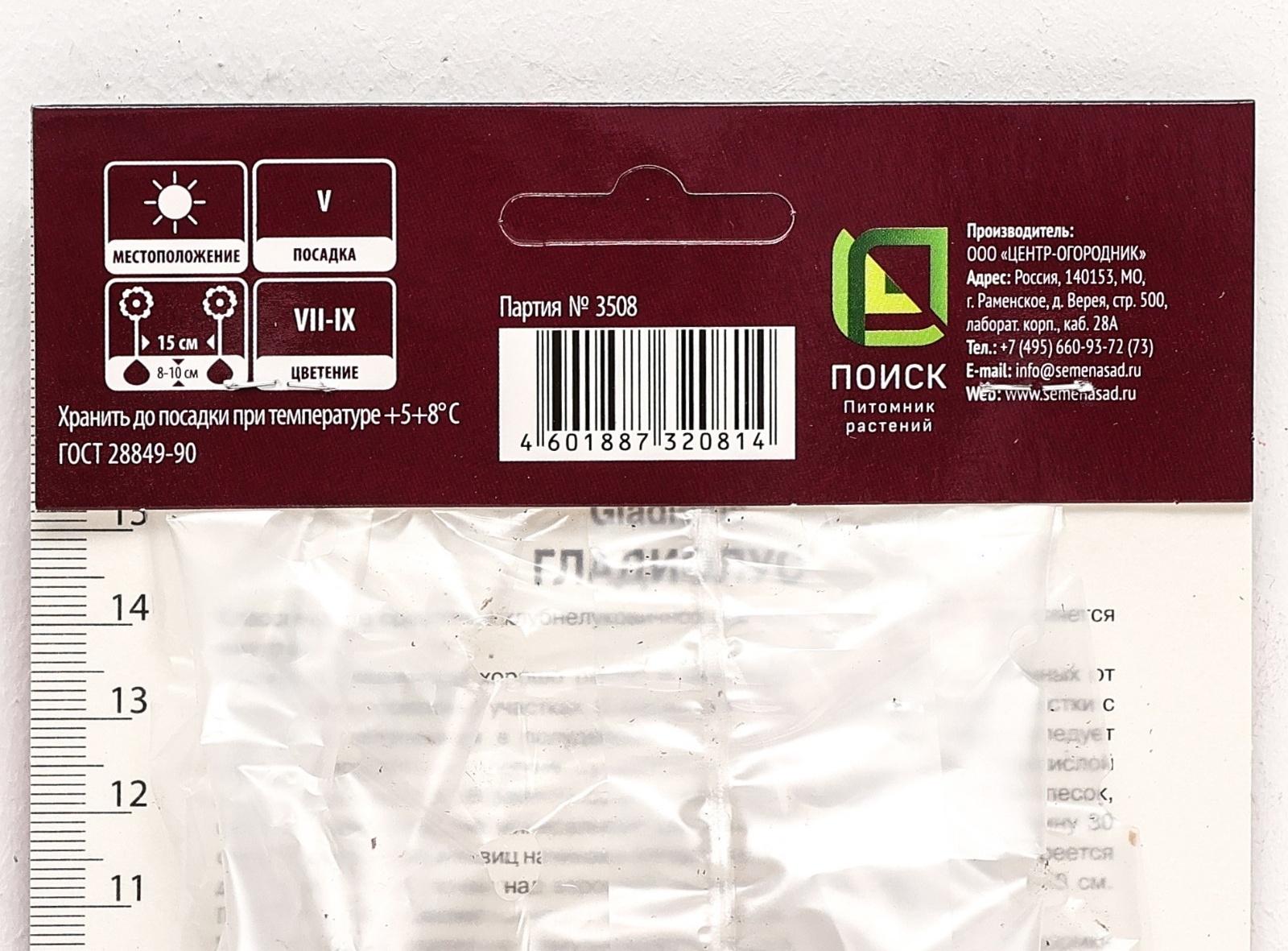 Гладиолус крупноцветковый 