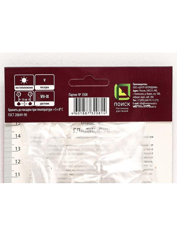 Гладиолус крупноцветковый 