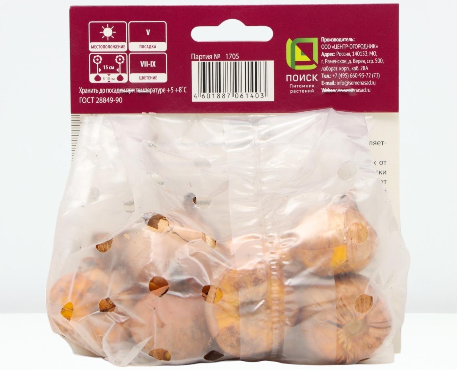 Гладиолус крупноцветковый 