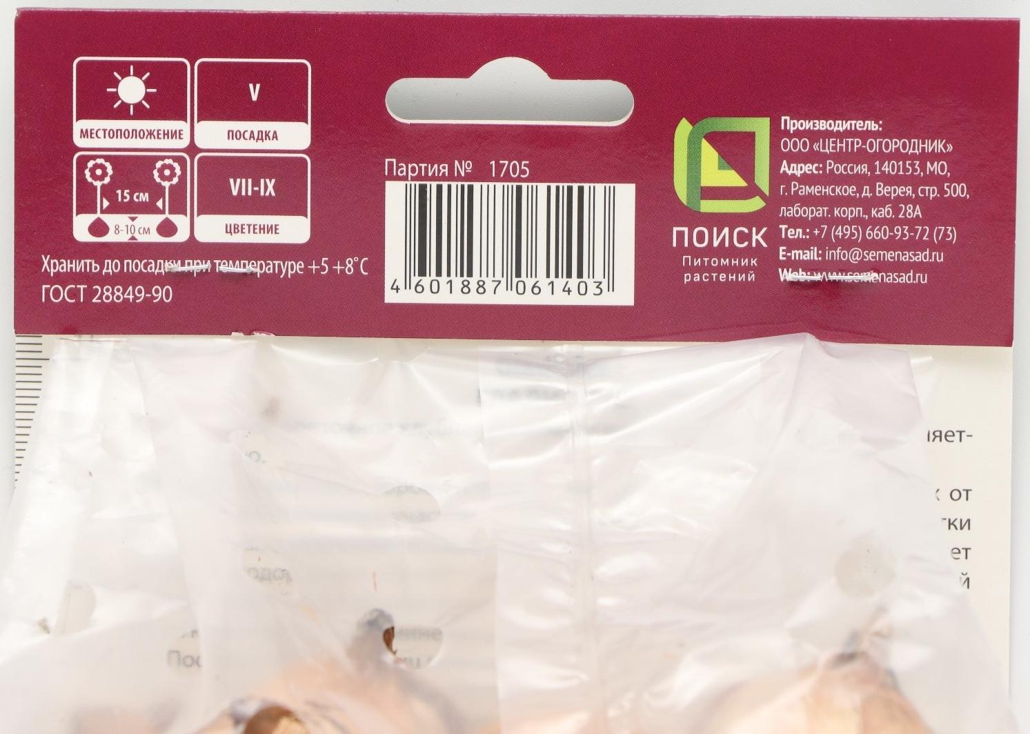 Гладиолус крупноцветковый 