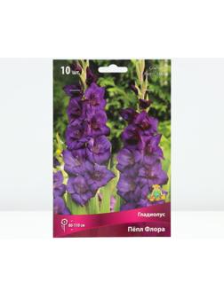 Гладиолус крупноцветковый 