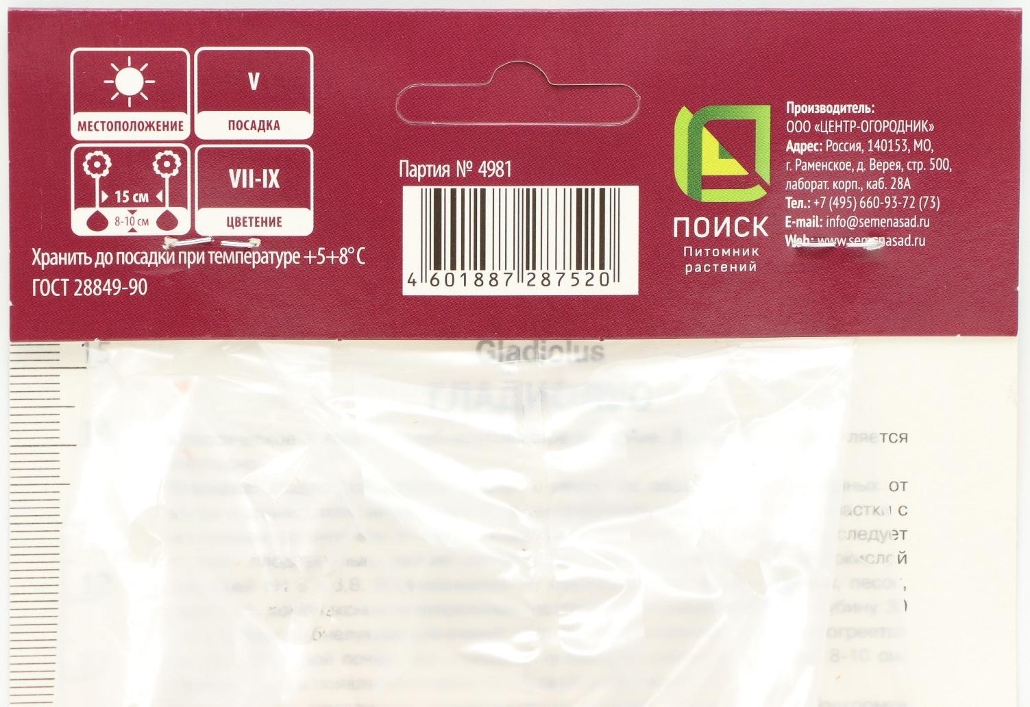 Гладиолус крупноцветковый 