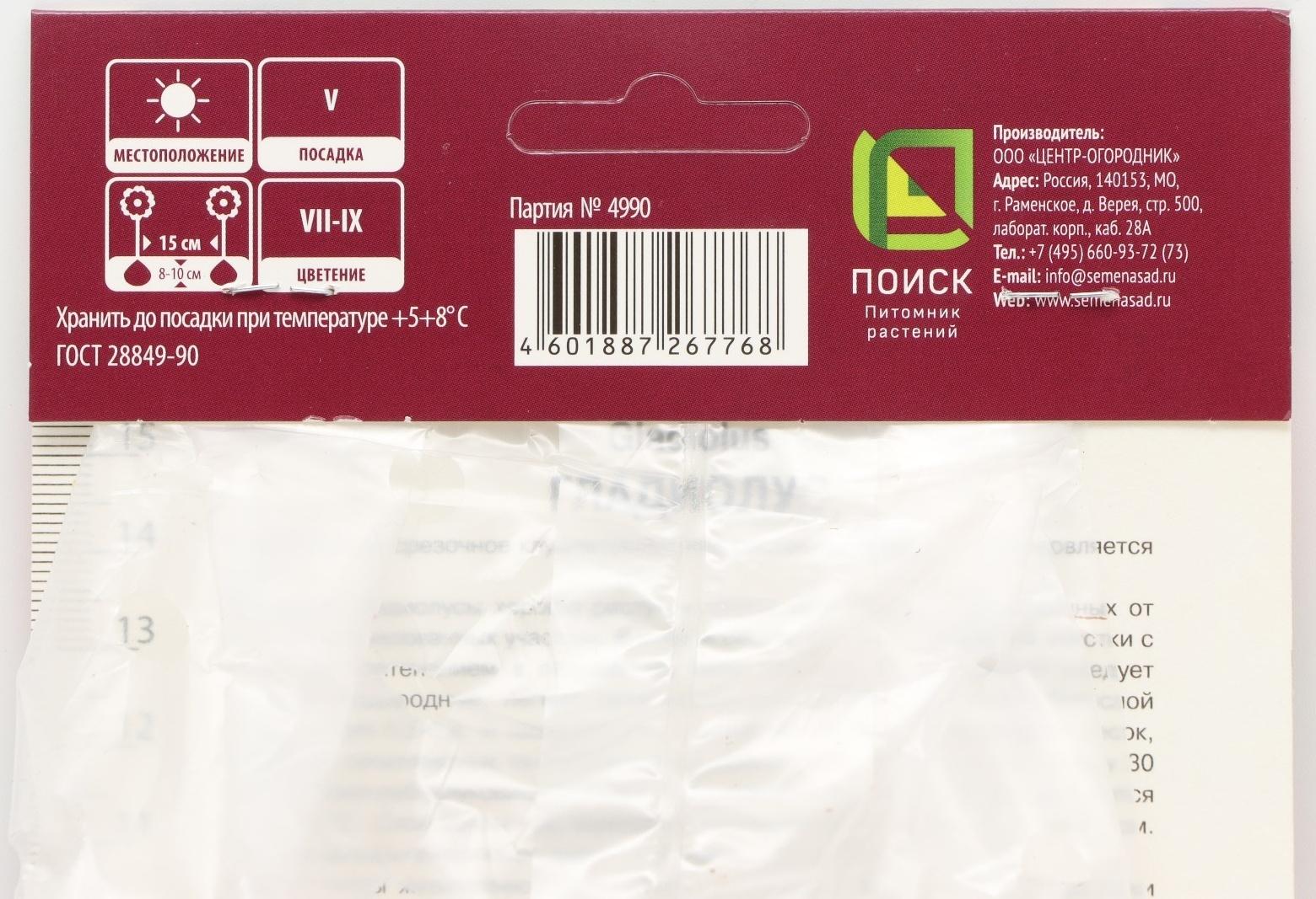 Гладиолус крупноцветковый 