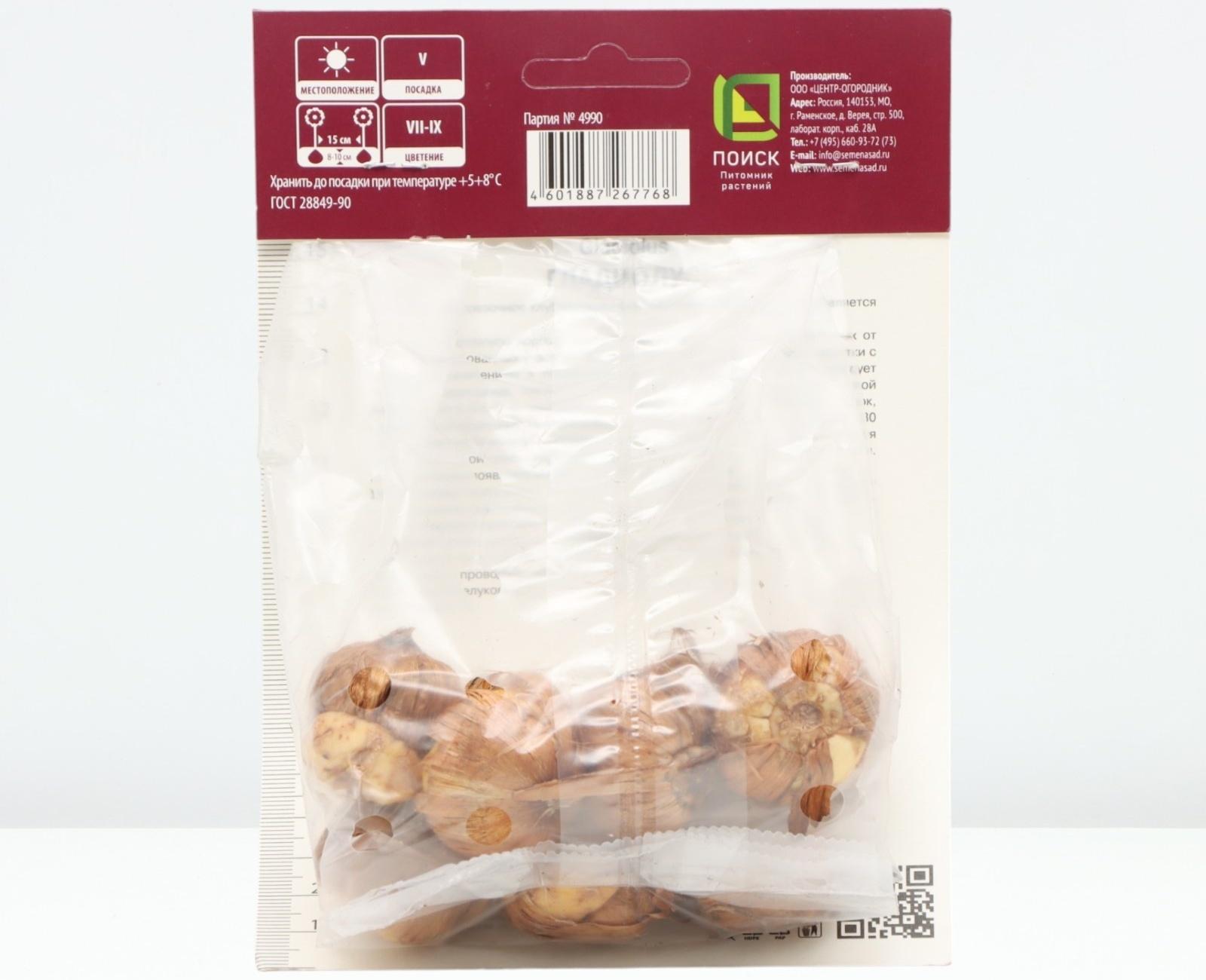 Гладиолус крупноцветковый 