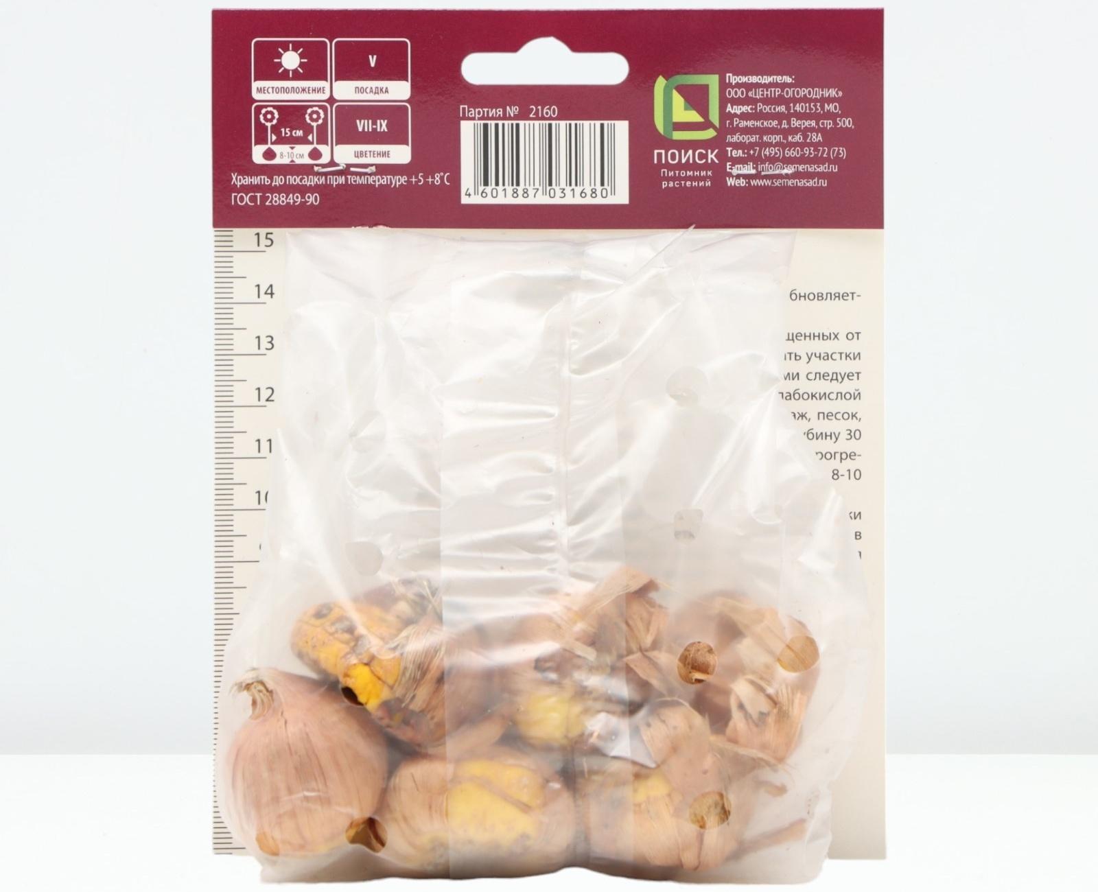 Гладиолус крупноцветковый 