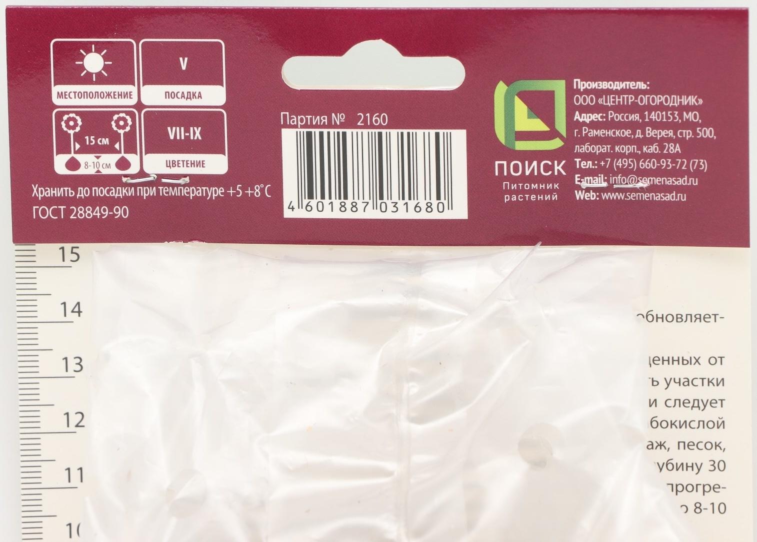 Гладиолус крупноцветковый 