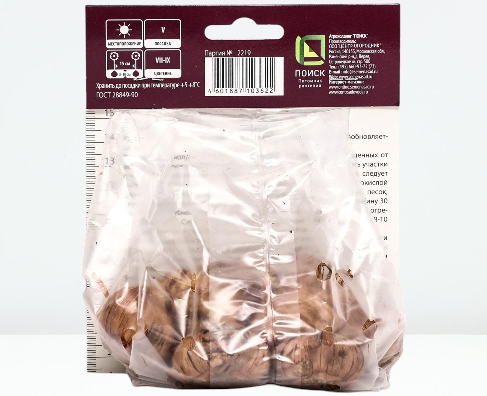 Гладиолус крупноцветковый 