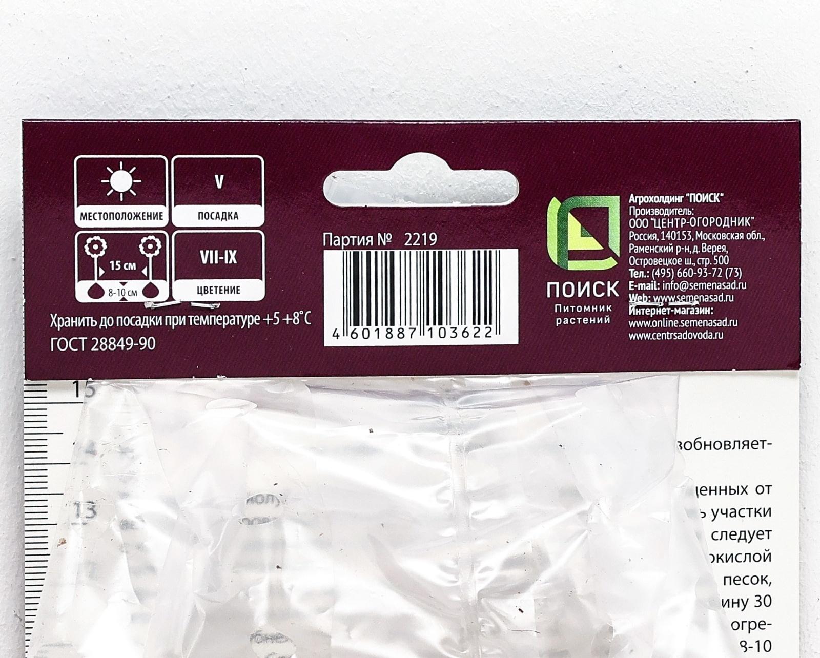 Гладиолус крупноцветковый 