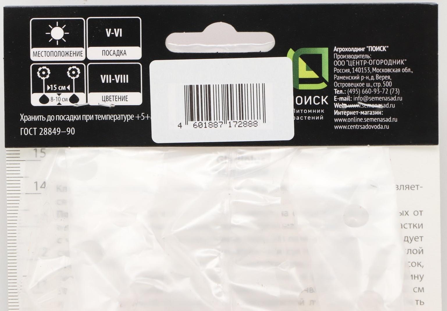 Гладиолус крупноцветковой 