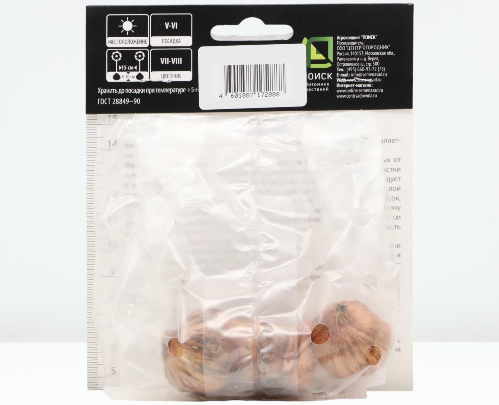 Гладиолус крупноцветковой 