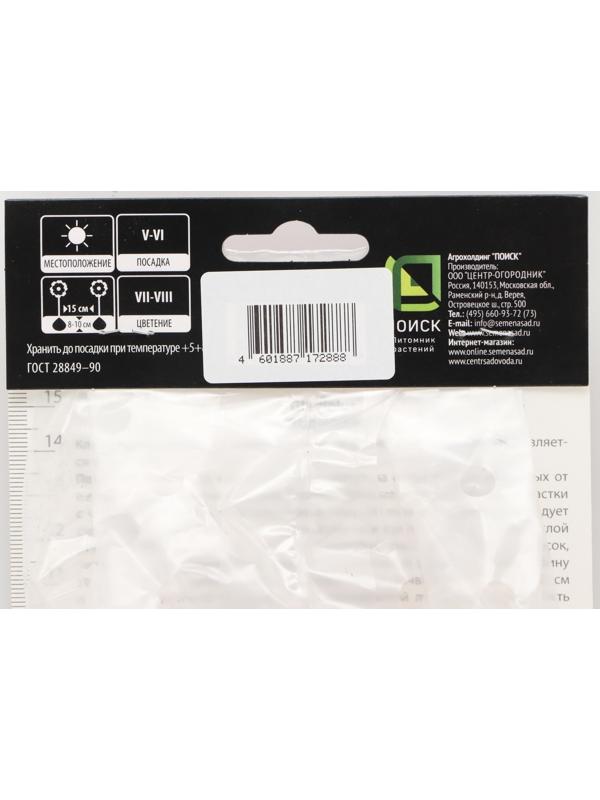 Гладиолус крупноцветковой 