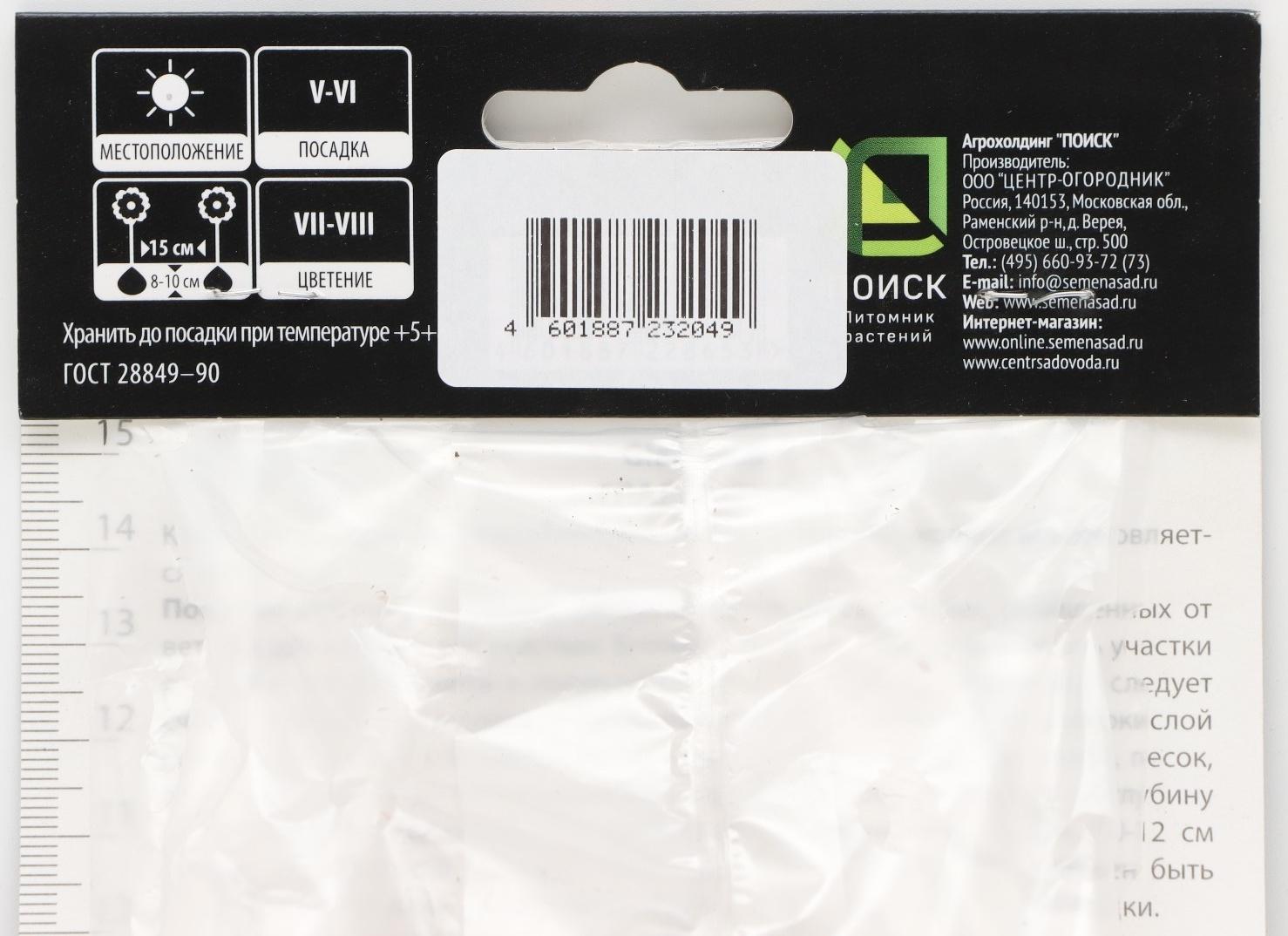 Гладиолус крупноцветковой 