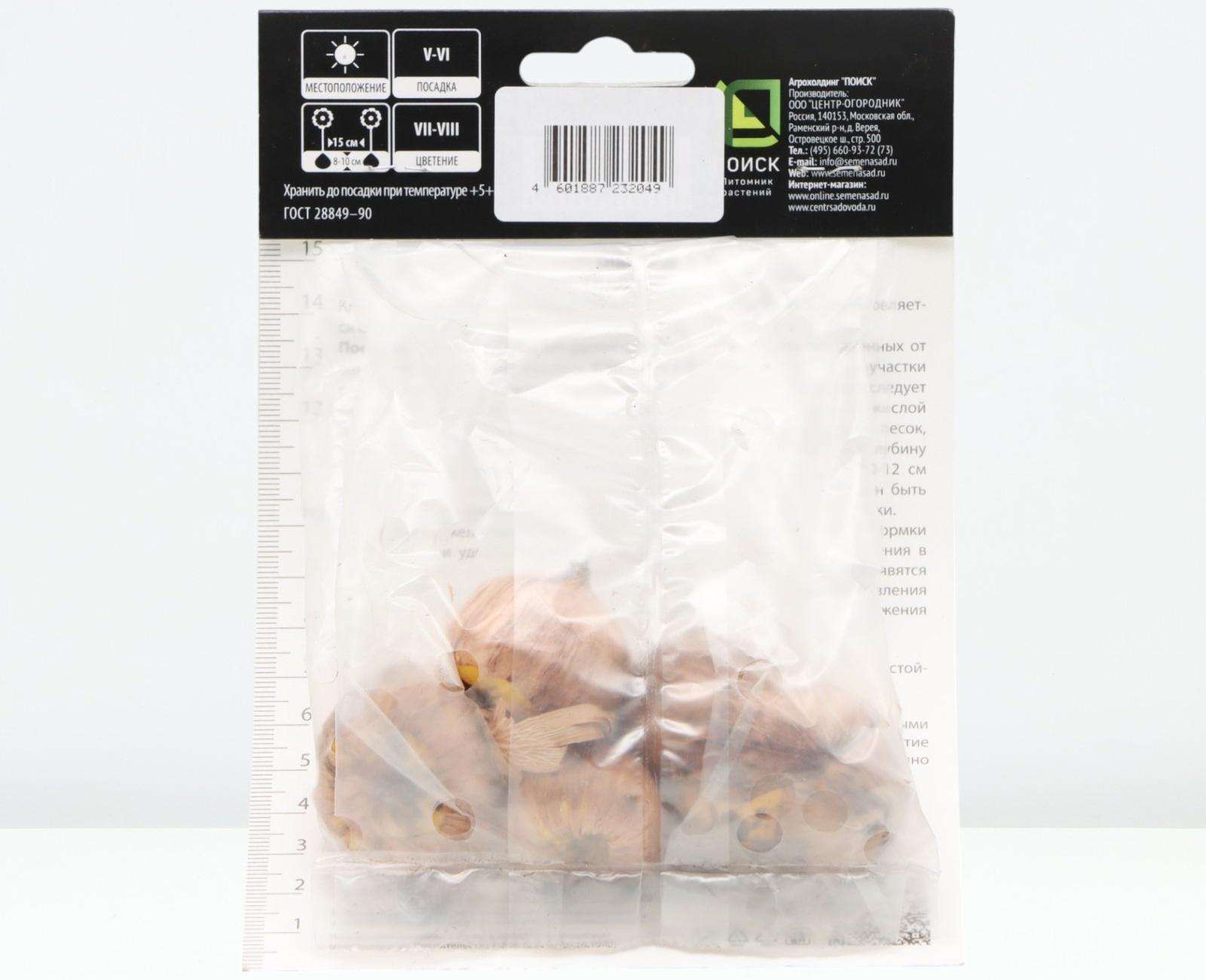 Гладиолус крупноцветковой 