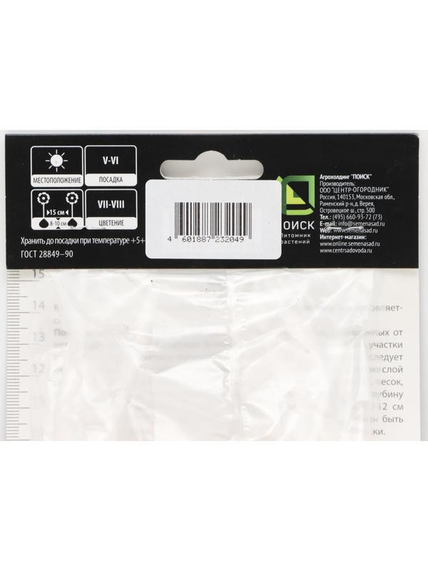 Гладиолус крупноцветковой 